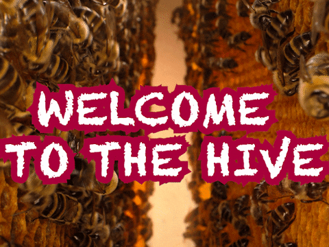 Bees GIF by IBC Bank.gif